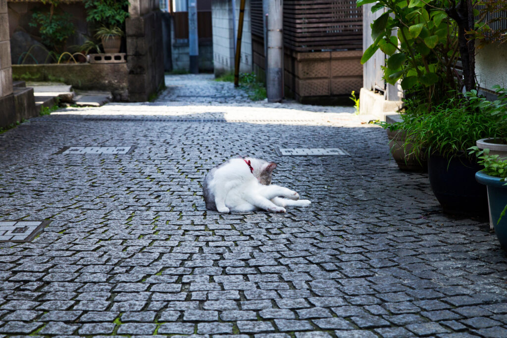 神楽坂という街の魅力と、ピラティススタジオの親和性