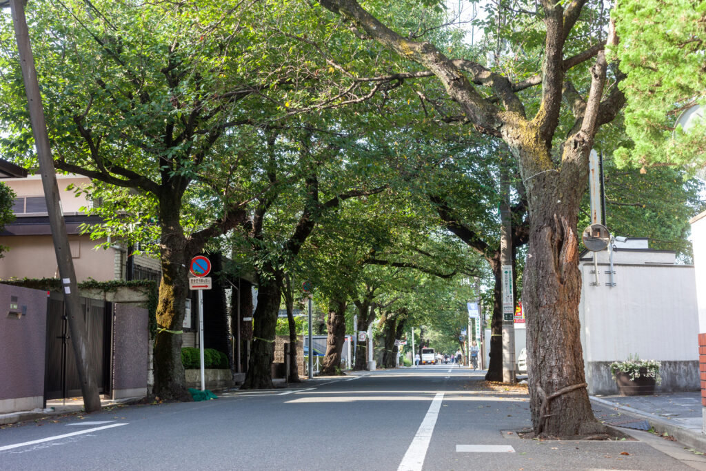 成城学園の街並み（東京都世田谷区成城）